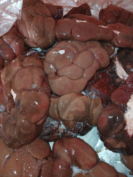 Rognons croustillant