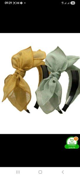 Barette pour cheveux