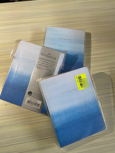 Carnet A6 Journal Intemporel