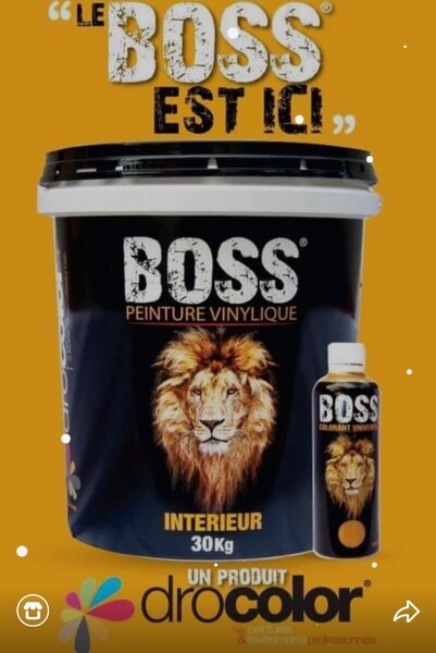 Peinture Boss Intérieure 30kg