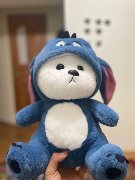 Мишка с капюшоном