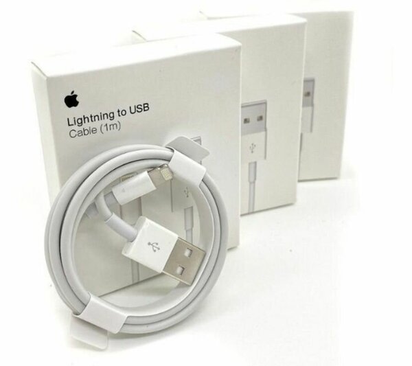 Câble Lightning vers USB 1m
