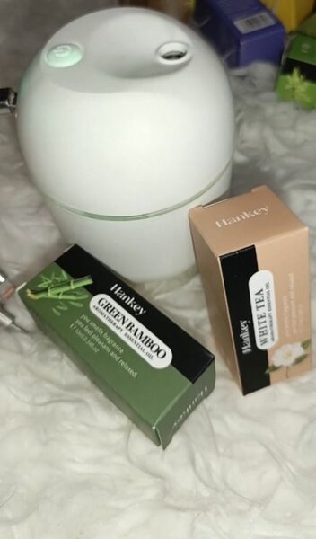 1Diffuseur d'Arome + 2 senteur