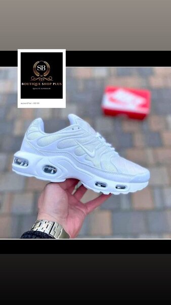 Basket NIKE TN authentique dans carton