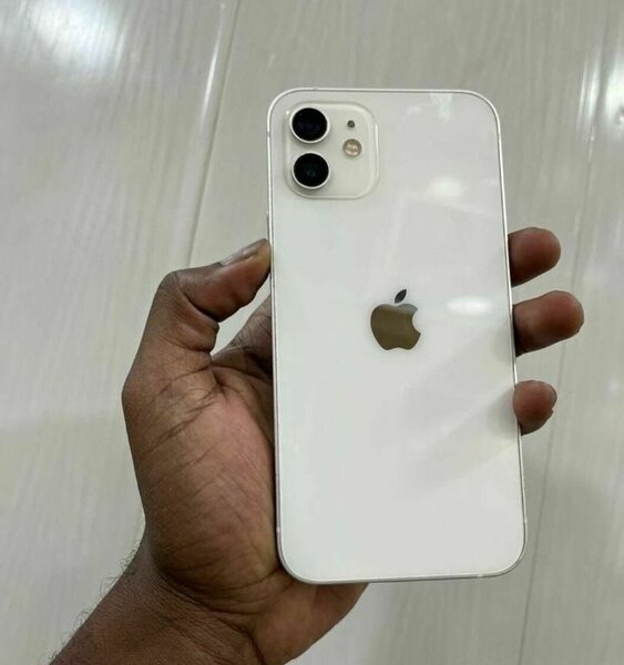 iPhone 12 simple Blanc 64 Go
