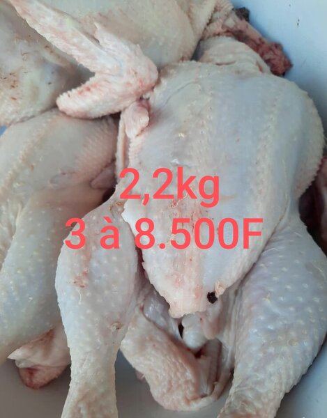 Poulet frais Halal 2,2kg