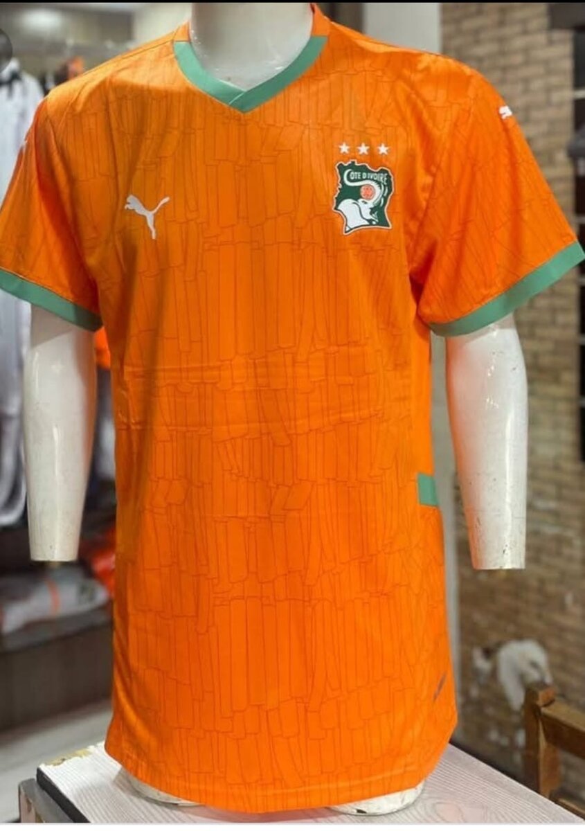 Maillot Côte d'Ivoire Puma