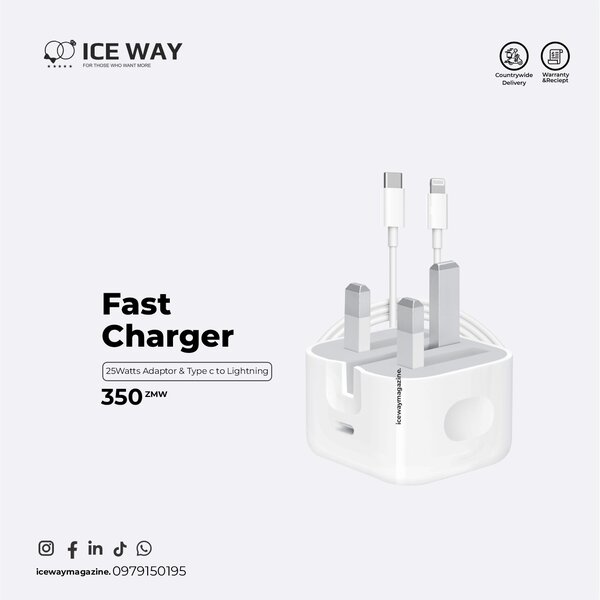 Apple iPhone Charger