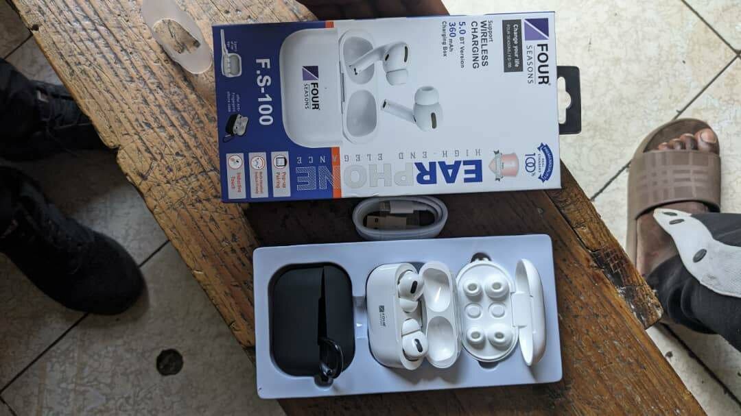 Four seasons earpods