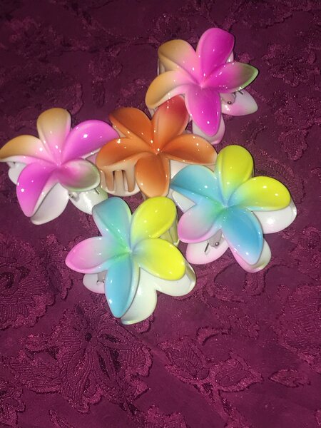Pinces à cheveux fleur colorée