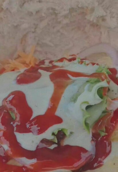 Délicieux Wrap au Poulet