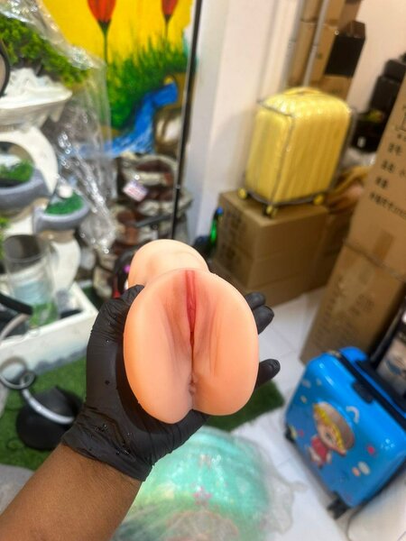 Simulateur de Plaisir Réaliste