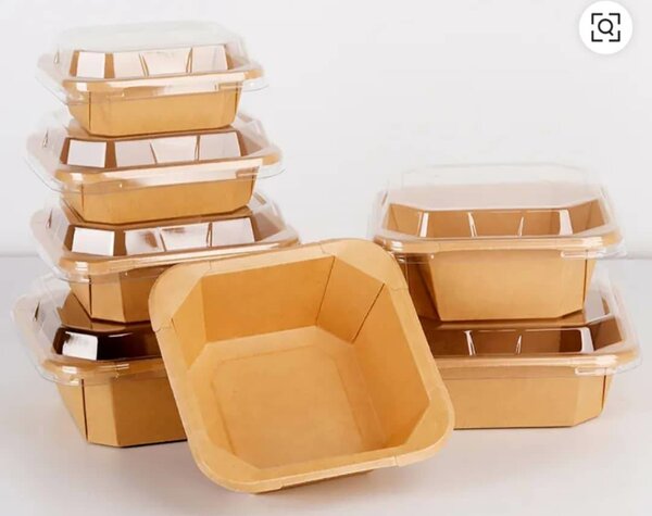 Bol en kraft 10 pièces 750 ml