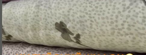 Красивый индийский шифон