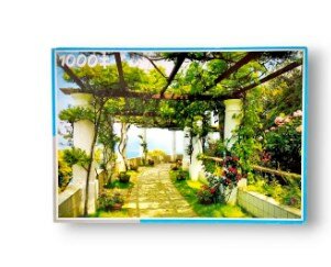 1000 Piece - Jigsaw Puzzle