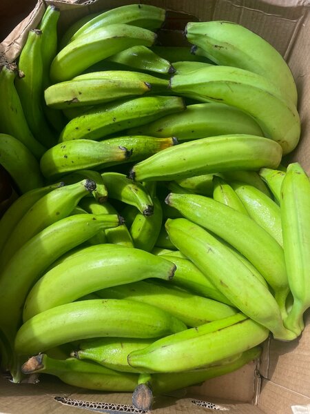 Plantains à l'exportation