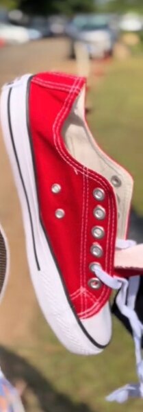 Baskets basses unisexes colorées