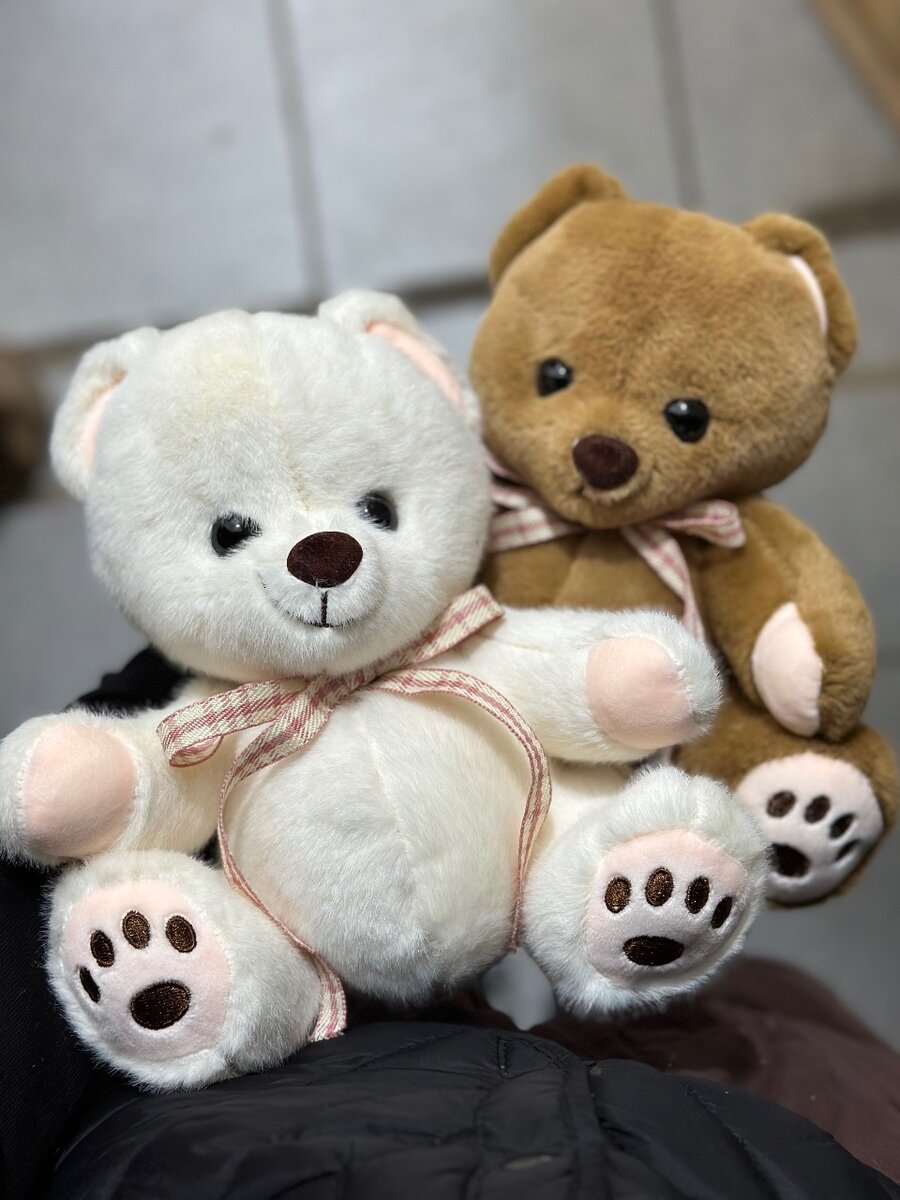 Мишка среднего размера