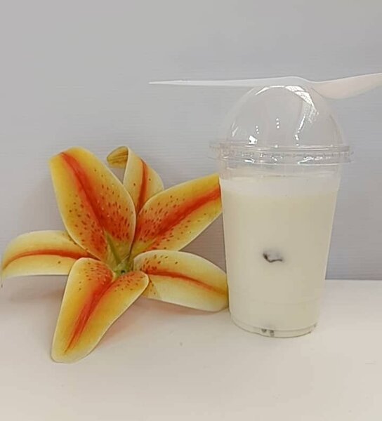 Yaourt au Raisin Sec