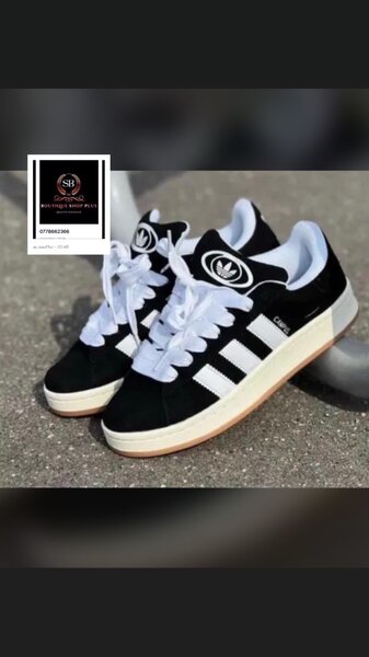 Basket adidas campus authentique avec sa boîte