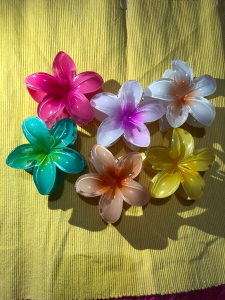 Pinces fleurs colorées