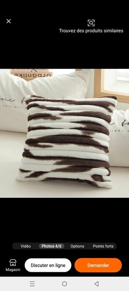 Coussin Douillet Zébré