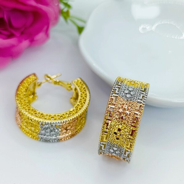 Boucles d'oreilles multicolores élégantes