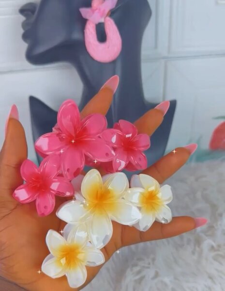 Pince à Cheveux Fleurs Colorées