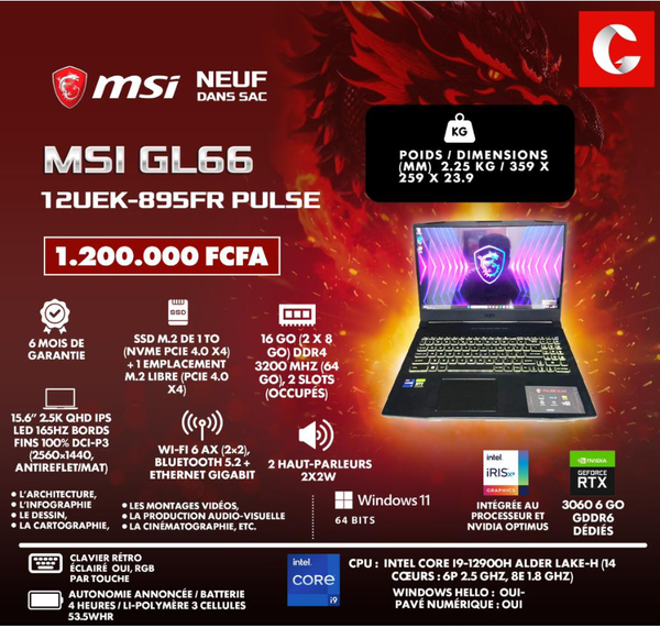MSI GL66