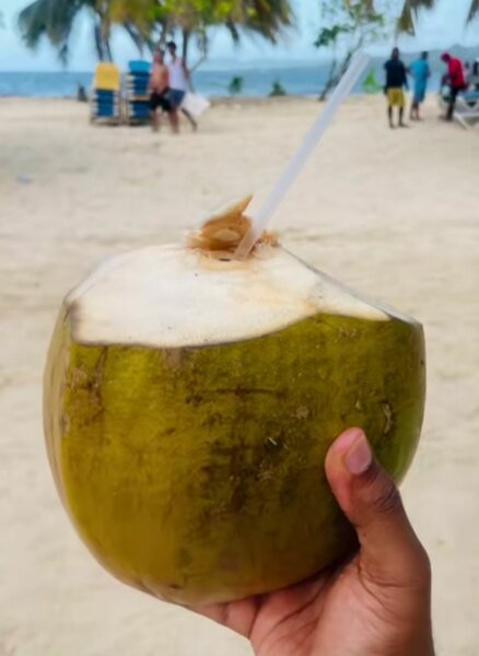 Noix de Coco Fraîches