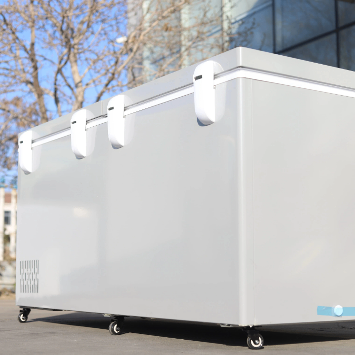 Biggest deep freezer