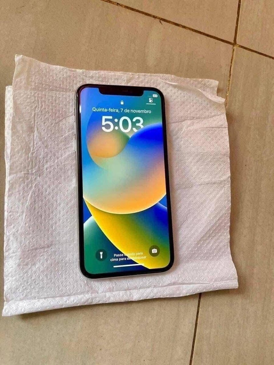 iPhone argent 64Go débloqué