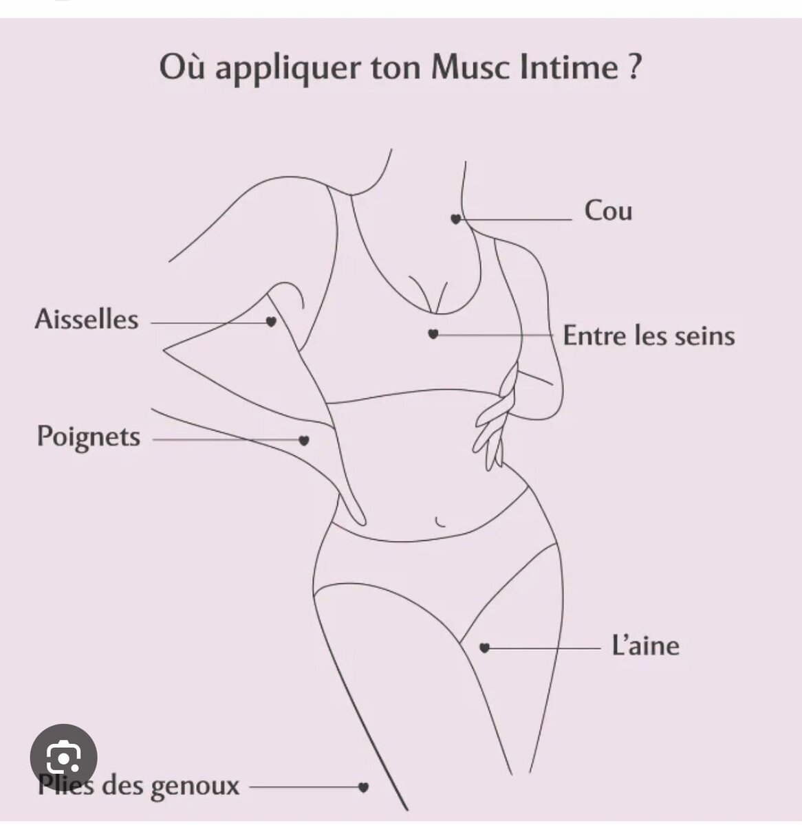 Musk...lait de minuit