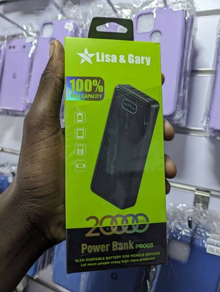POWERFUL POWER BANKS