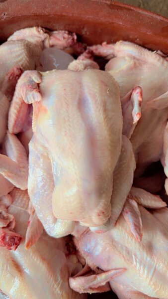 Poulet Frais Prêt à Cuisiner