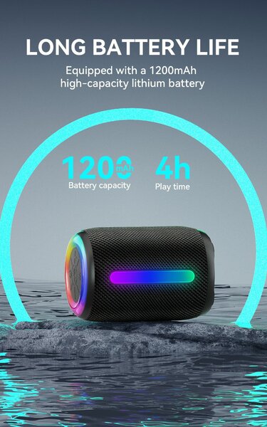 Enceinte portable BWOO BW87