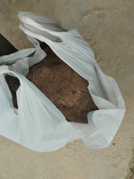 Copeaux de Coco Naturels