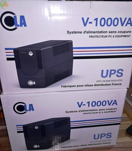 Onduleur UPS V-1000VA
