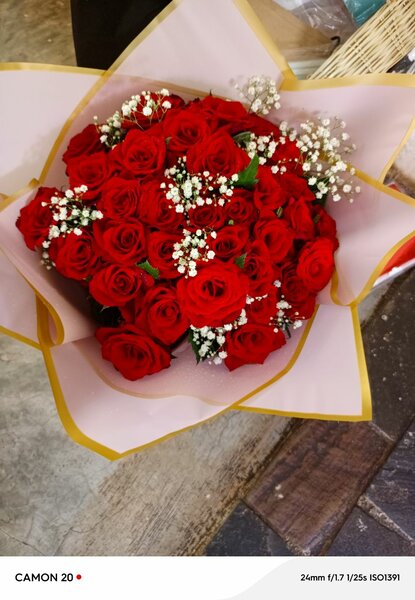 Red Roses+gypso