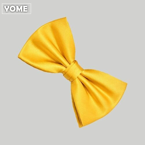 Noeud Papillon Jaune Élégant