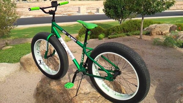 BMX BEAST