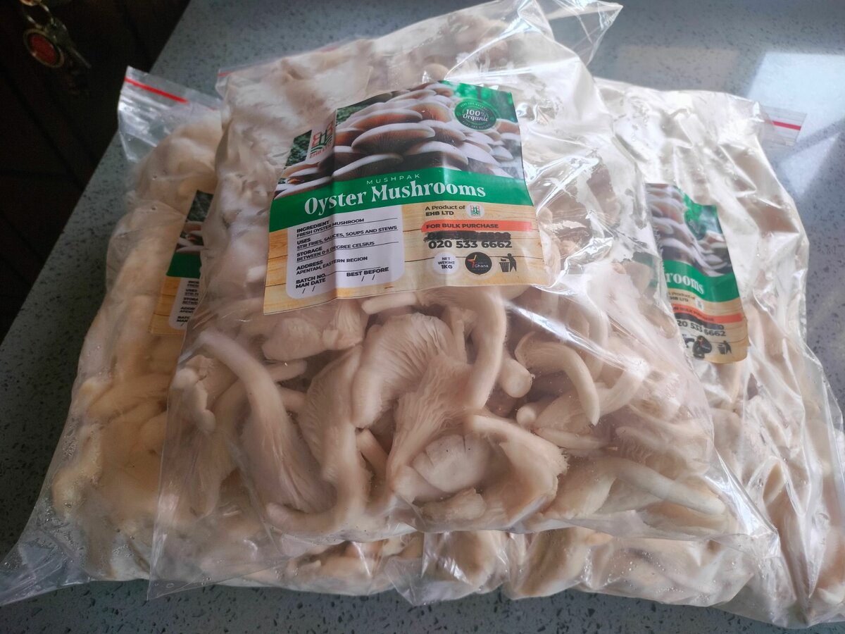 Fresh mushrooms per kilo