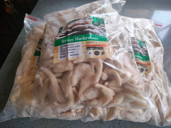Fresh mushrooms per kilo
