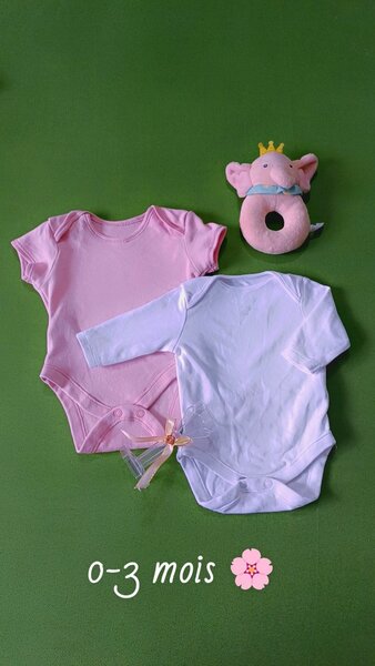 Bodys bébé 0-3 mois