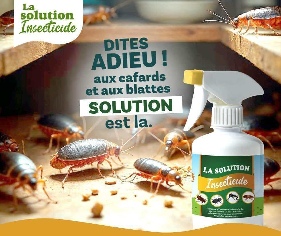 Pulvo Insecticide Puissant