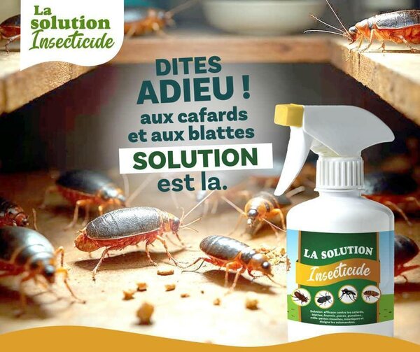 Pulvo Insecticide Puissant
