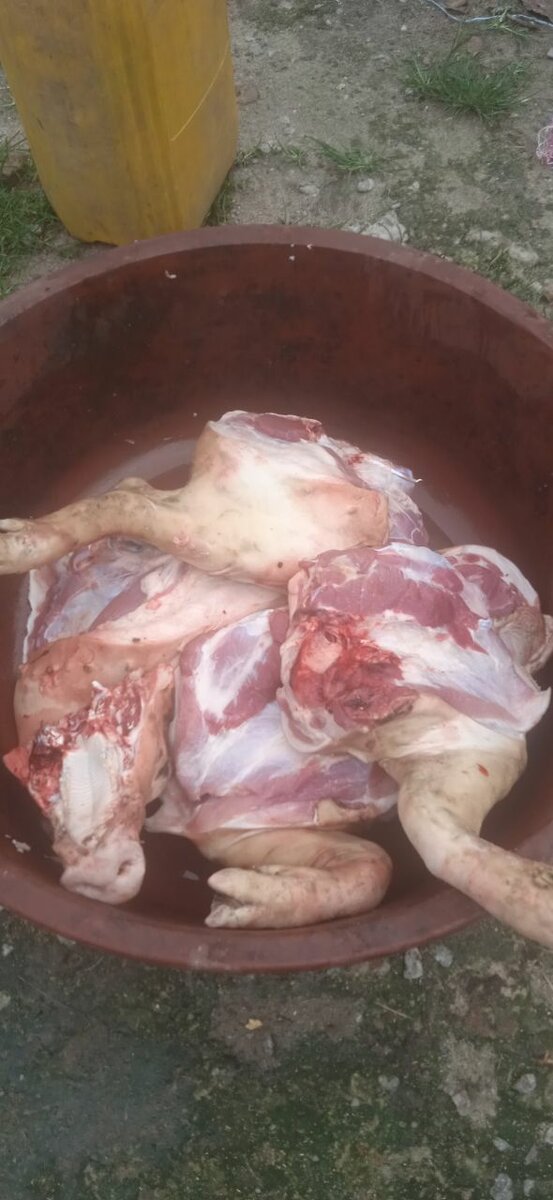 Viande de porc fraîche