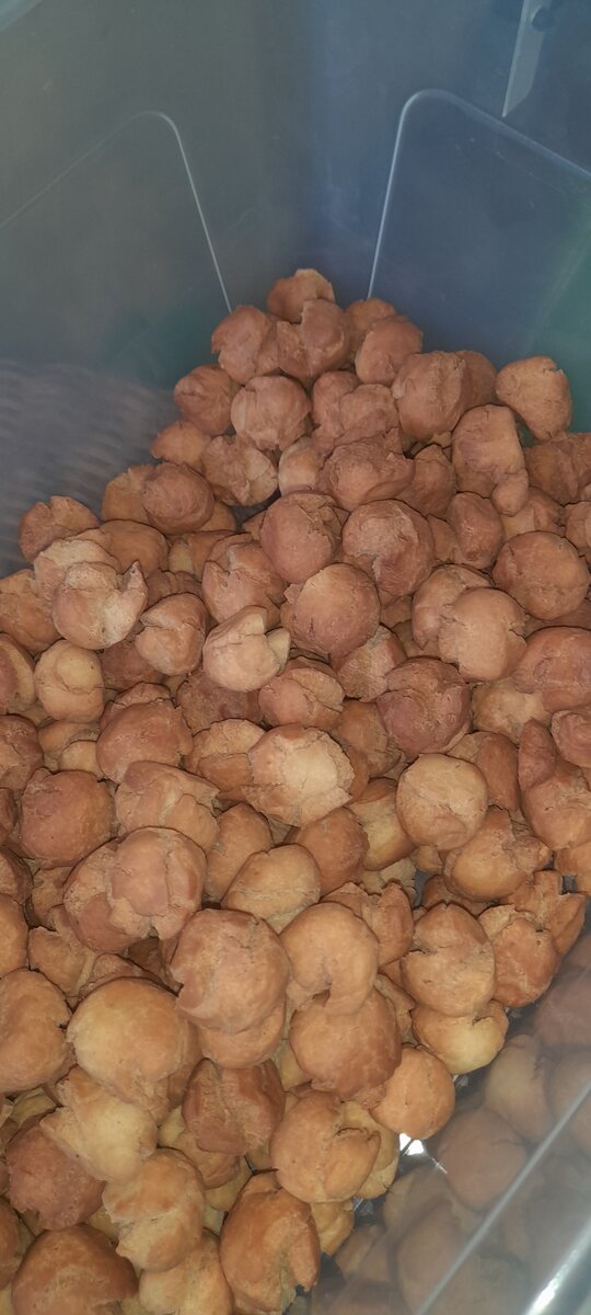 Délicieuses choux sucrés