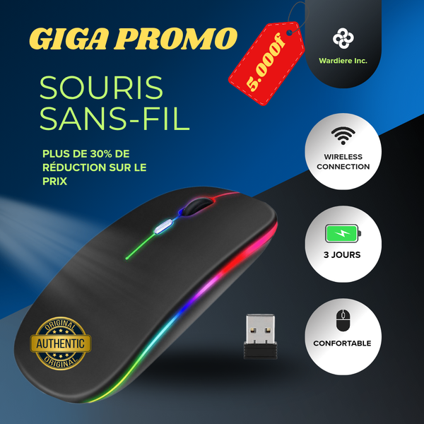 Souris sans fil LED