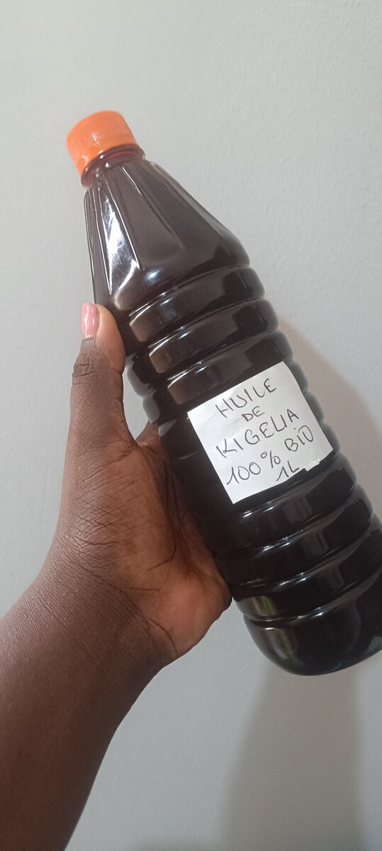 Huile de Kigelia Bio 1L